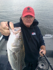 Saturday Fishing On Norfork Lake By Scuba Steve From Blackburns Resort and Boat Rental