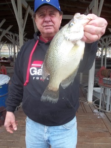 Crappie Fishing On Norfork Lake Arkansas By Scuba Steve from Blackburns Resort and Boat Rental