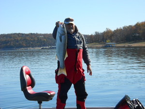 Norfork Lake Conditions and Fishing Report By Scuba Steve From Blackburns Resort and Boat rental On Norfork Lake
