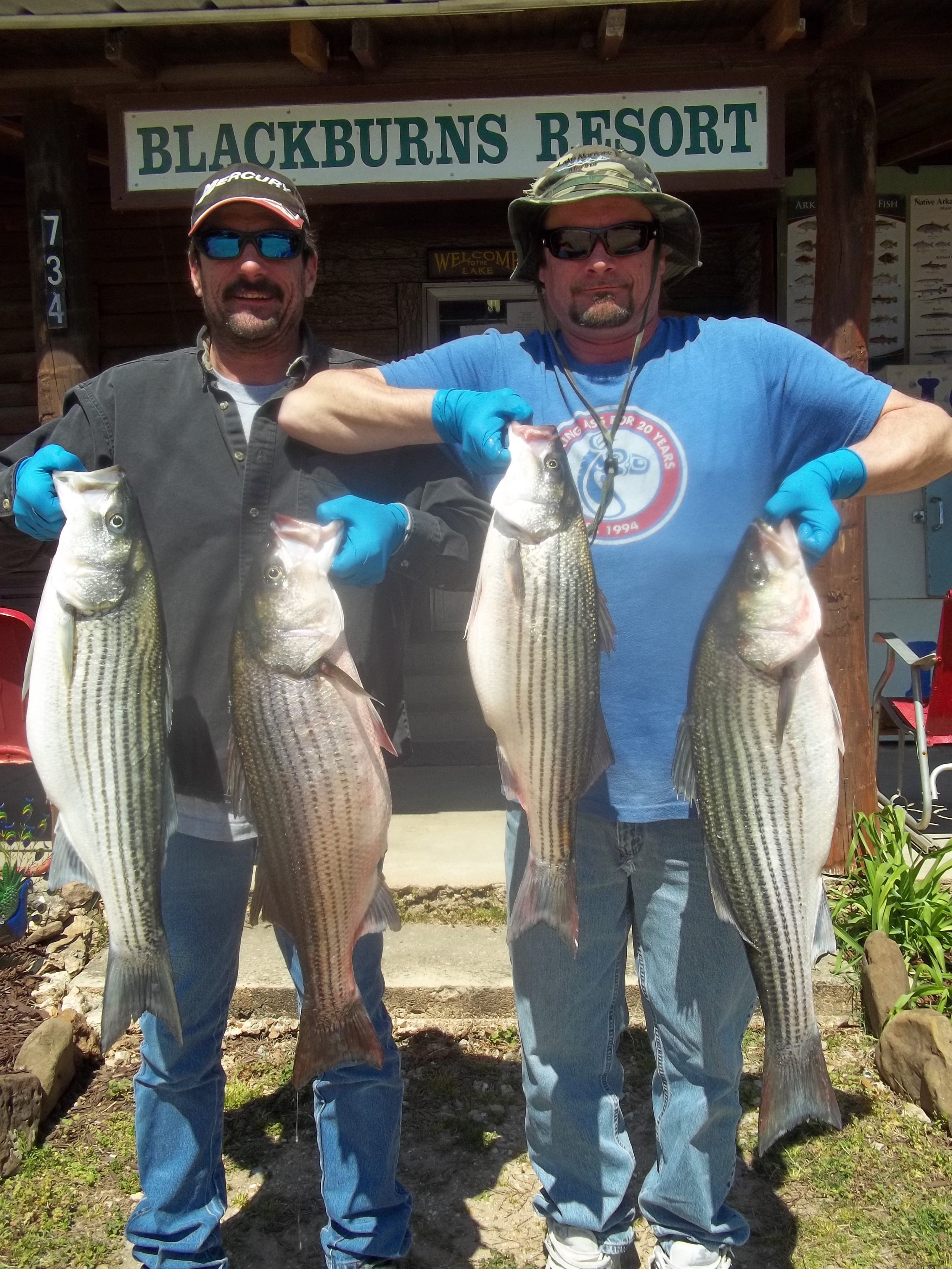 Canyon Lake Bank Fishing Crappie Dock - Bank Fishing For Crappie Lake