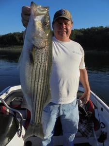 Norfork Lake Fishing Report By Scuba Steve From Blackburns Resort and Boat Rental On Norfork Lake Arkansas Near Mountain Home In the Ozark Mountains (Click Here for Comments)