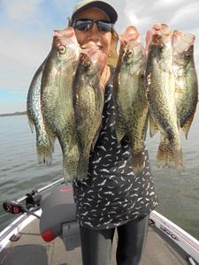 September 20,2017 Norfork Lake Conditions and fishing report by Scuba Steve from Blackburns Resort and Boat Rental (click here for comments)