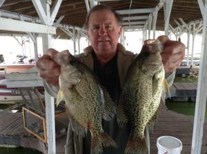 Norfork Lake Conditions and fishing report By Scuba Steve From Blackburns Resort and Boat Rental Near Mountain Home (click here for comments) 