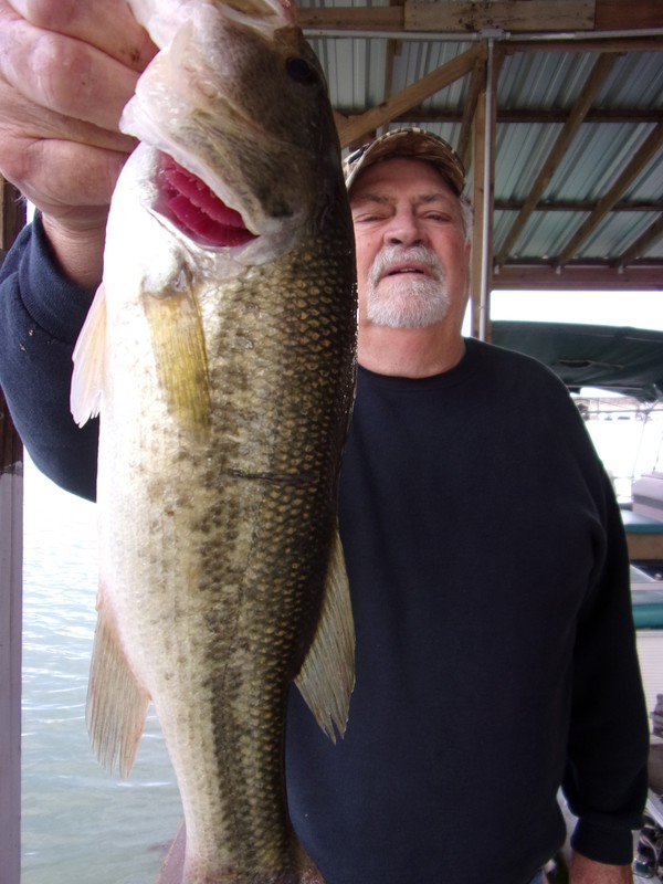 Norfork Lake fishing and lake conditions by Scuba Steve from Blackburns Resort and Boat rental (click here for comments)