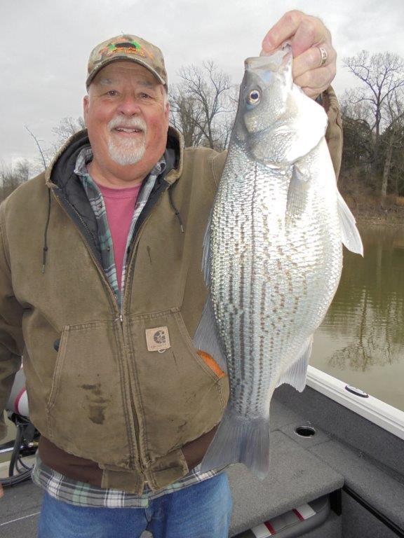 Norfork Lake fishing and lake conditions by Scuba Steve from Blackburns Resort and Boat rental (click here for comments)