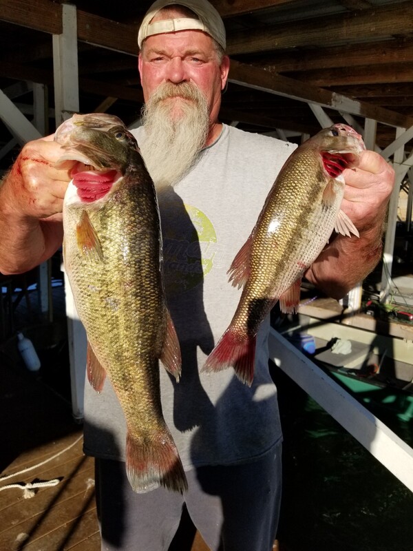 Norfork Lake Condition and Fishing Report by Scuba Steve from Blackburns Resort and Boat Rental (click here for comment)