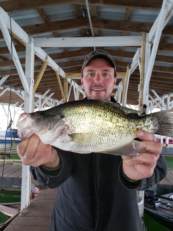 Norfork Lake condition, fishing and fall foliage report by Scuba Steve from Blackburns Resort Resort and Boat Rental (click here for comments)