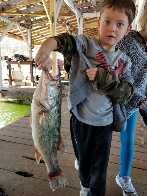 Norfork Lake Condition and Fishing Report by Scuba Steve from Blackburns Resort and Boat Rental (click here for comment)