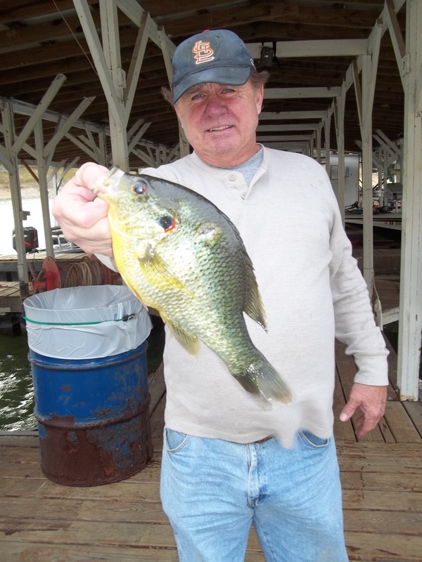Norfork Lake fishing Report and lake conditions by Scuba Steve from Blackburns Resort and Boat Rental (click here for comments)