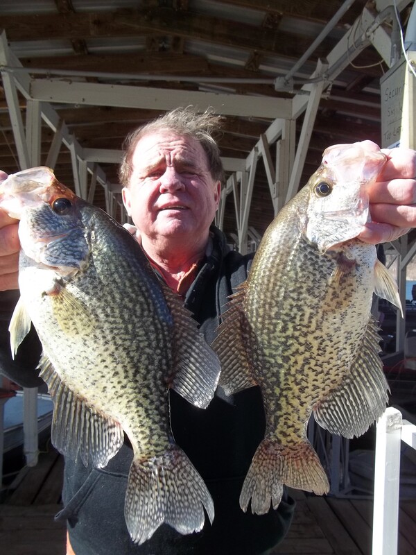 Norfork Lake fishing Report and lake conditions by Scuba Steve from Blackburns Resort and Boat Rental (click here for comments)