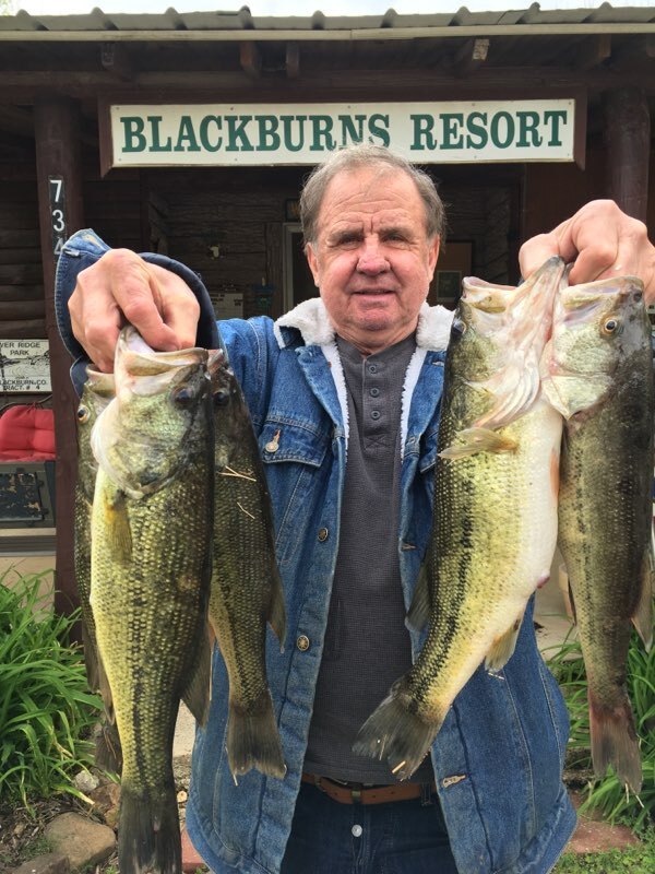 Norfork Lake fishing report and lake conditions by Scuba Steve from Blackburns Resort and Boat Rental (click here for comments)