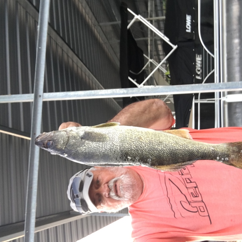 Norfork Lake fishing report and lake conditions by Scuba Steve from Blackburns Resort and Boat rental (click here for comments)