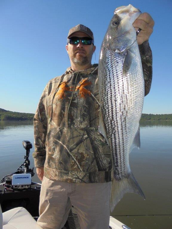 Norfork Lake fishing report and lake conditions by Scuba Steve from Blackburns Resort and Boat rental (click here for comments)