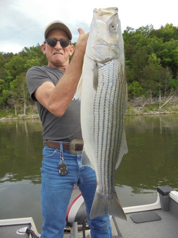 Norfork Lake fishing report and lake conditions by Scuba Steve from Blackburns Resort and Boat rental (click here for comments)