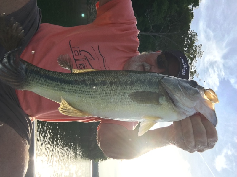 Norfork Lake fishing report and lake conditions by Scuba Steve from Blackburns Resort and Boat rental (click here for comments)
