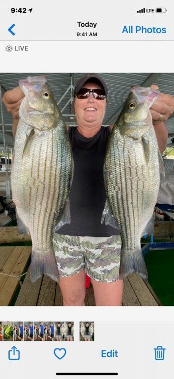 Norfork Lake fishing Report and lake conditions by Scuba Steve from Blackburns Resort and Boat rental (click here for comments)