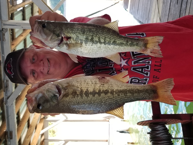 Norfork Lake fishing report and lake conditions by Scuba Steve from Blackburns Resort and Boat rental (click here for comments)