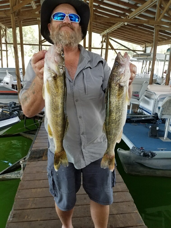 Norfork Lake fishing report and lake conditions by Scuba Steve from Blackburns Resort and Boat rental (click here for comments)