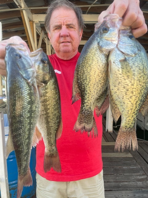 Norfork Lake fishing report, lake conditions and fall foliage report by Scuba Steve from Blackburns Resort and Boat rental (click here for comments)