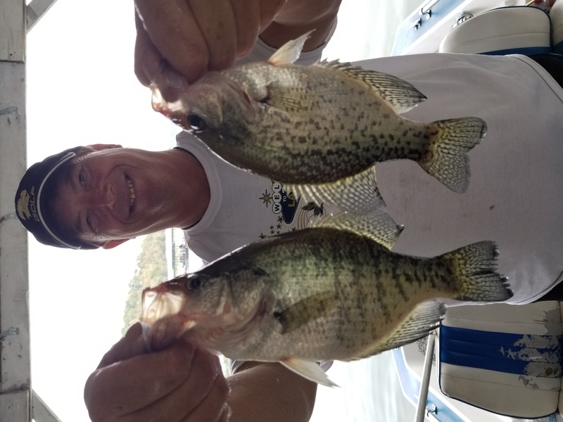Norfork Lake Fishing report and Lake condition by Scuba Steve from Blackburns Resort and Boat Rental.