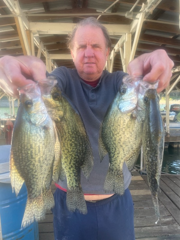 Norfork Lake Fishing report and Lake Condition by Scuba Steve from Blackburns Resort and Boat Rental (click here for comments)
