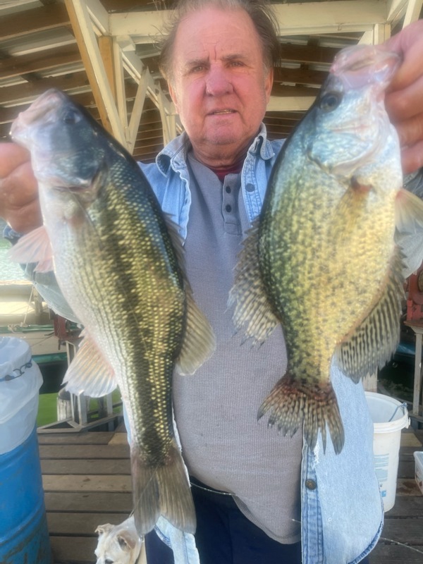 Norfork Lake Condition, fishing and fall foliage report by Scuba Steve from Blackburns Resort and Boat Rental(click here for comments)