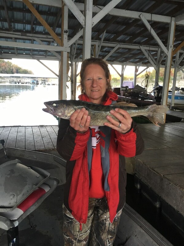 Norfork Lake Condition and Fishing Report by Scuba Steve from Blackburns Resort and Boat Rental (click here for comments)