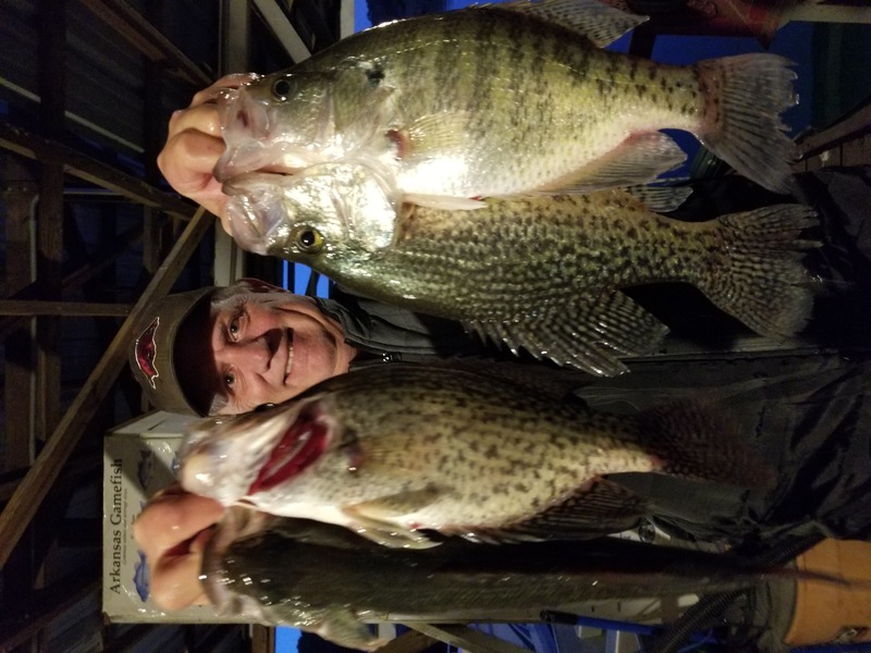 Norfork Lake condition and fishing report by Scuba Steve from Blackburns Resort and Boat Rental 