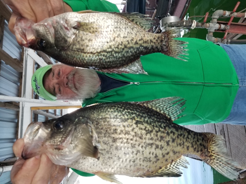 Norfork Lake Condition and fishing report by Scuba Steve from Blackburns Resort and Boat rental 