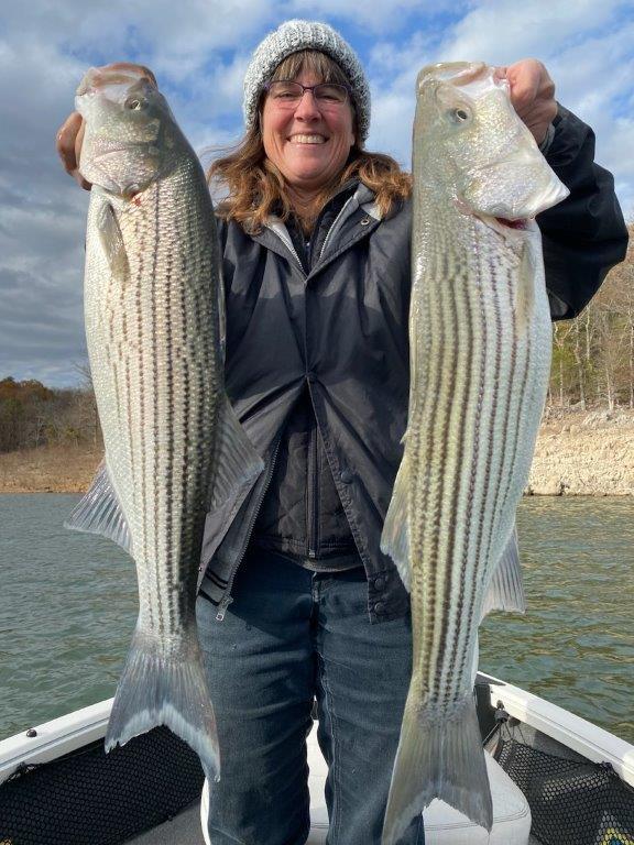 Norfork Lake Arkansas near Mountain Home in the Ozark Mountains Region fishing report and lake condition by Scuba Steve from Blackburns Resort and Boat Rental