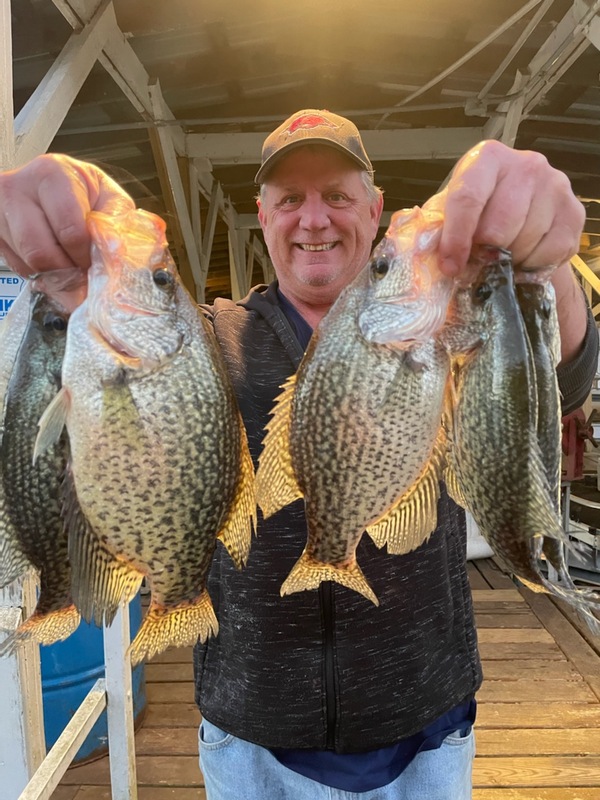 Norfork Lake Arkansas near Mountain Home in the Ozarks Mountain Region fishing report and lake condition by Scuba Steve from Blackburns Resort and Boat Rental.