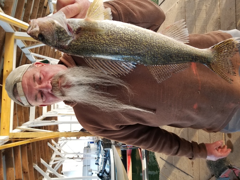 Norfork Lake Arkansas near Mountain Home in the Ozark Mountains Region fishing report and lake condition by Scuba Steve from Blackburns Resort and Boat Rental.