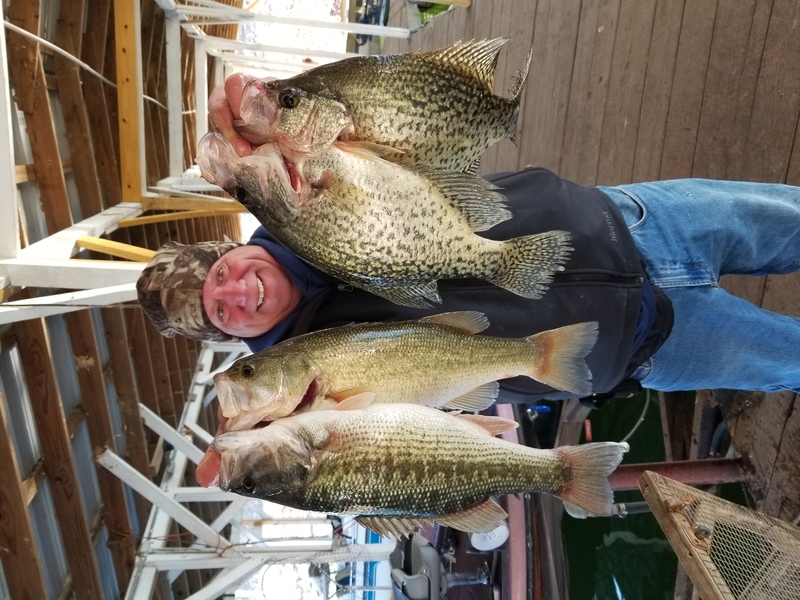 Norfork Lake Arkansas near Mountain Home in the Ozark Mountains Region Fishing Report and Lake condition by Scuba Steve from Blackburns Resort and Boat Rental.