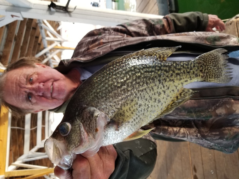 Norfork Lake Arkansas near Mountain Home Fishing Report and Lake Condition by Scuba Steve from Blackburns Resort and Boat Rental