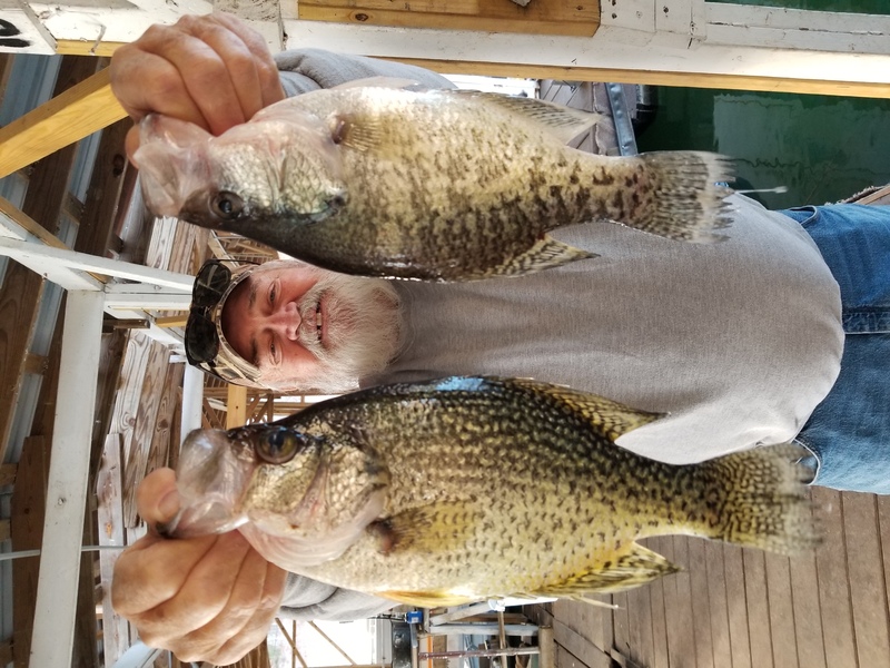 Norfork Lake Arkansas near Mountain Home in the Ozarks Mountain Region  Fishing Report and Lake Condition by Scuba Steve from Blackburns Resort and Boat Rental.