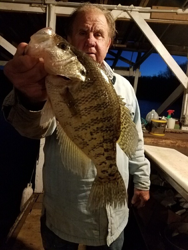 Norfork Lake Arkansas Near Mountain Home in the Ozark Mountains Region Fishing Report and Lake Condition by Scuba Steve from Blackburns Resort and Boat Rental. 
