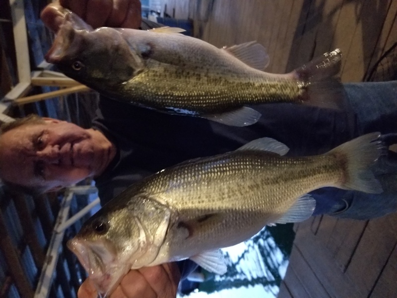 Norfork Lake Arkansas near Mountain Home in the Ozark Mountains Region Fishing Report and Lake Condition by Scuba Steve from Blackburns Resort and Boat Rental. 