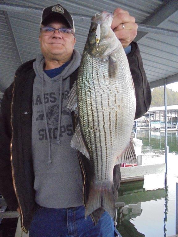 Norfork Lake Arkansas near Mountain Home in the Ozark Mountains Region Fishing Report and Lake conditions by Scuba Steve from Blackburns Resort and Boat Rental. 