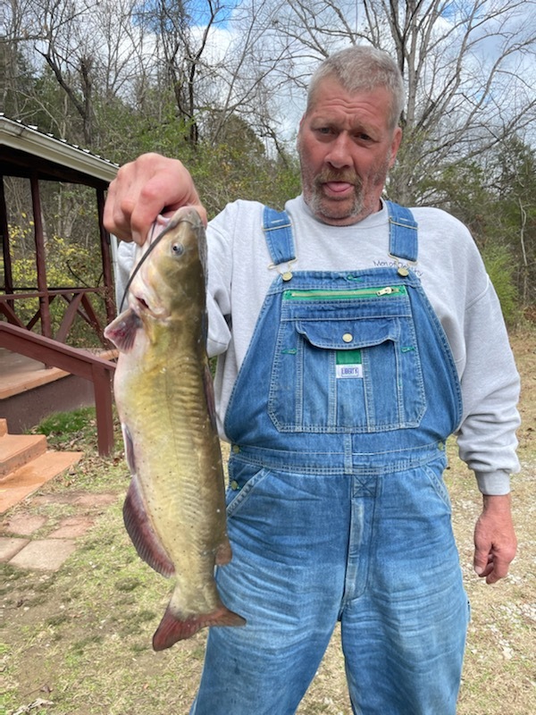 Norfork Lake Arkansas near Mountain Home in the Ozark Mountains Region fishing report and lake conditions by Scuba Steve from Blackburns Resort and Boat Rental. 