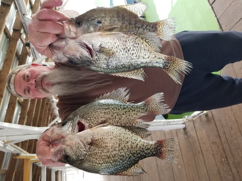 Norfork Lake Arkansas near Mountain Home in the Ozarks Mountain Region fishing report and lake condition by Scuba Steve from Blackburns Resort and Boat Rental. 