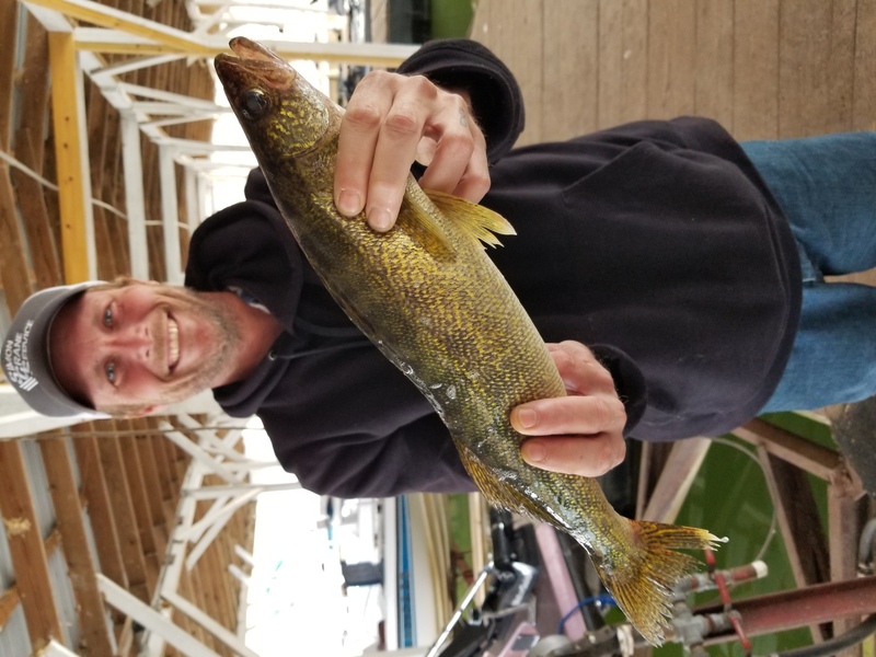 Norfork Lake Arkansas near Mountain Home in the Ozark Mountains Region Lake Condition and Fishing Report by Scuba Steve from Blackburns Resort and Boat Rental.