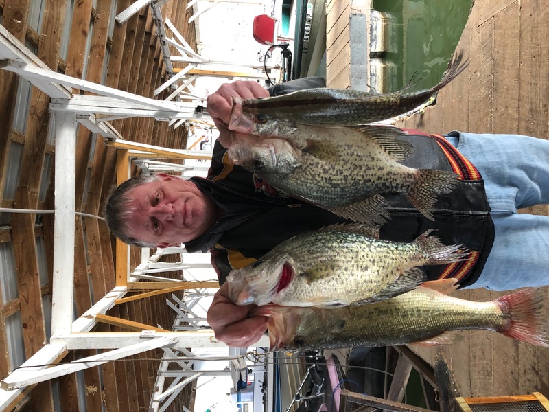 Norfork Lake Arkansas Near Mountain Home in the Ozarks Mountains Region Fishing Report and Lake condition by Scuba Steve from Blackburns Resort and Boat Rental.