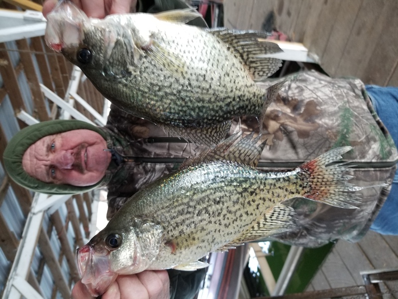Norfork Lake Arkansas near Mountain Home in the Ozark Mountains region fishing report and lake condition by Scuba Steve from Blackburns Resort and Boat Rental.