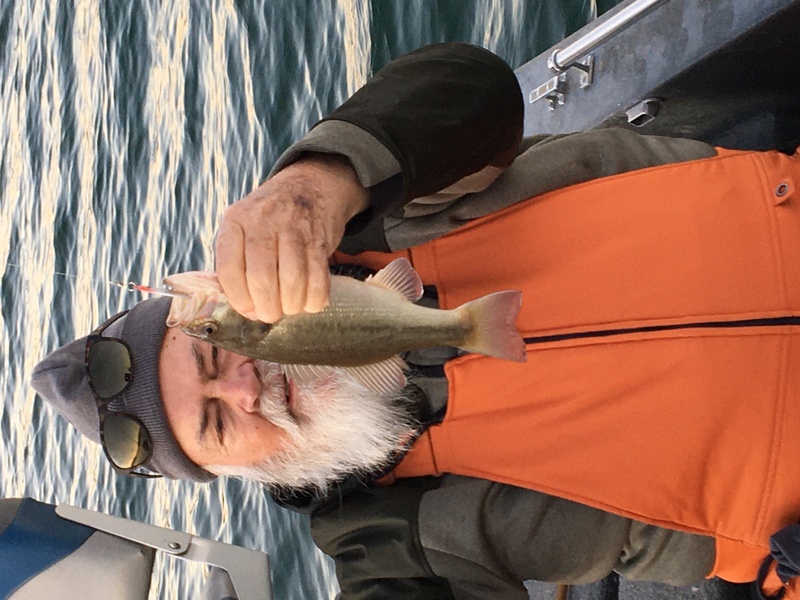 Norfork Lake Arkansas near Mountain Home in the Ozarks Mountains Region fishing report and lake condition by Scuba Steve from Blackburns Resort and Boat Rental.