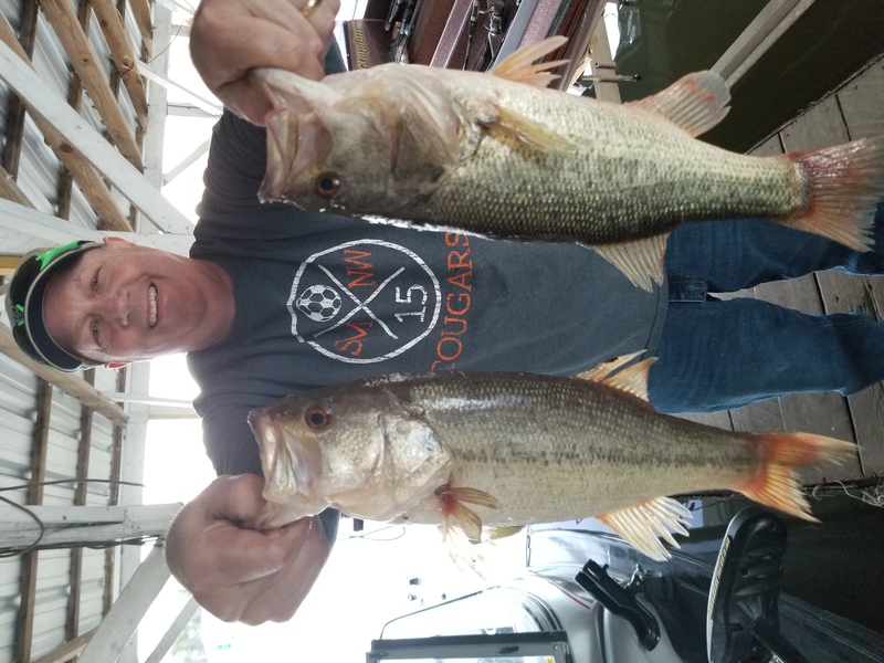 Norfork Lake Arkansas Near Mountain Home in the Ozarks Mountains Region Fishing Report and Lake Conditions by Scuba Steve from Blackburns Resort and Boat Rental. 