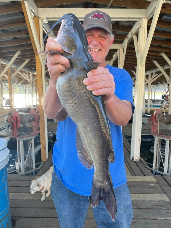 Norfork Lake Arkansas near Mountain Home in the Ozarks Mountains Region fishing Report and lake condition by Scuba Steve from Blackburns Resort and Boat Rental. 