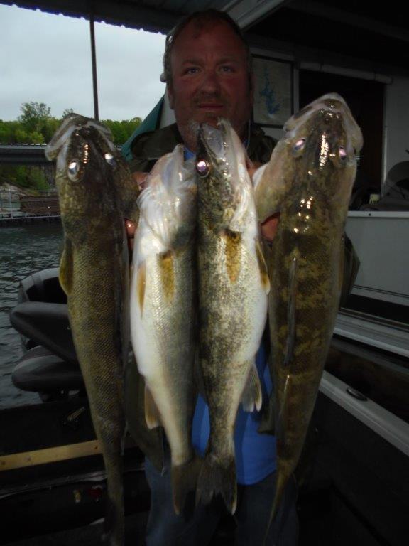 Norfork Lake Arkansas near Mountain Home in the Ozarks Mountains Region Fishing Report and Lake Condition By Scuba Steve from Blackburns Resort and Boat Rental. 