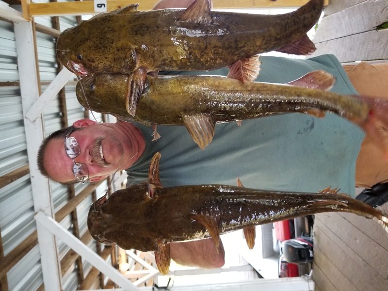 Norfork Lake Arkansas near Mountain Home in the Ozarks Mountains region fishing report and lake condition by Scuba Steve from Blackburns Resort and Boat Rental. 