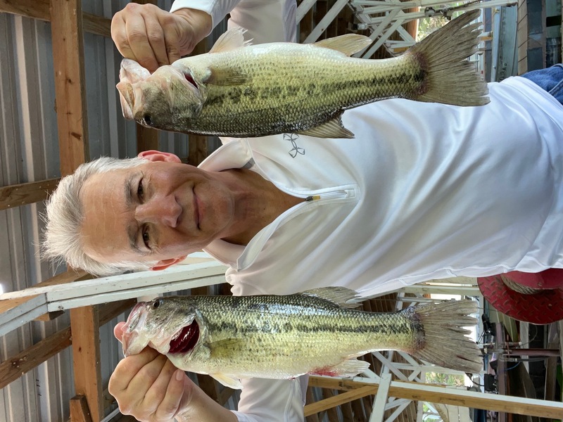 Norfork Lake Arkansas in the Ozarks Mountains Region fishing report and lake condition by Scuba Steve from Blackburns Resort and Boat Rental. 