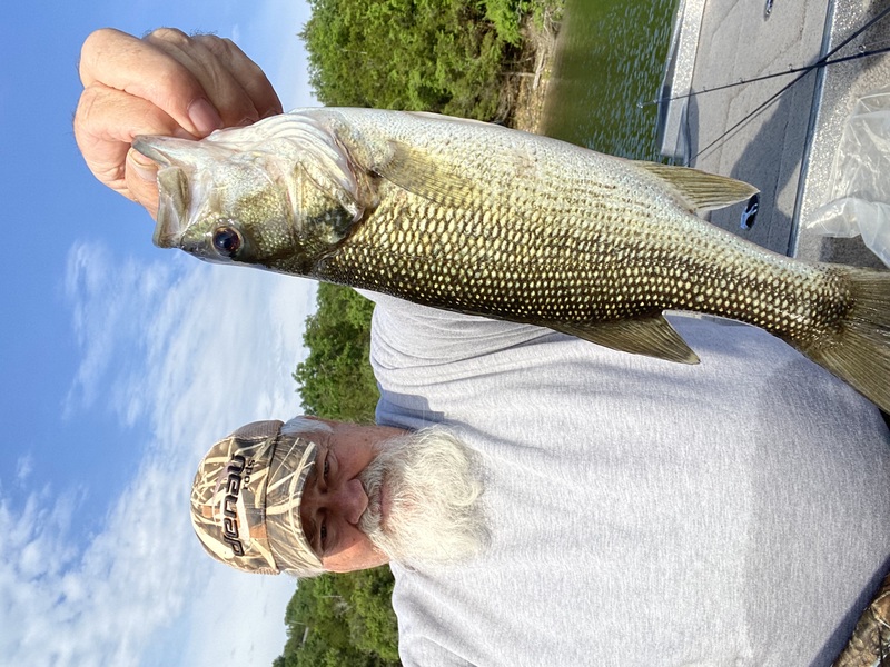 Norfork Lake Arkansas near Mountain Home in the Ozarks Mountains Region fishing report and lake conditions by Scuba Steve from Blackburns Resort and Boat Rental. 